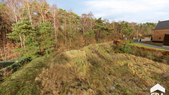 Boottrekkersweg - 17 - - 3920