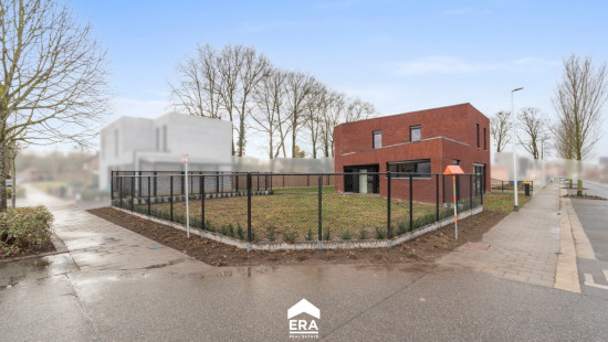 Wilgenstraat - 2 - - 3990