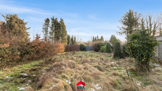 Schoolstraat - 31 - - 2491