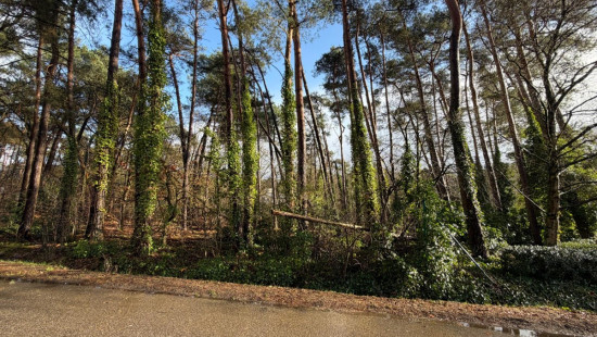 Sperwerlaan - 28 - lot 1 - 2280