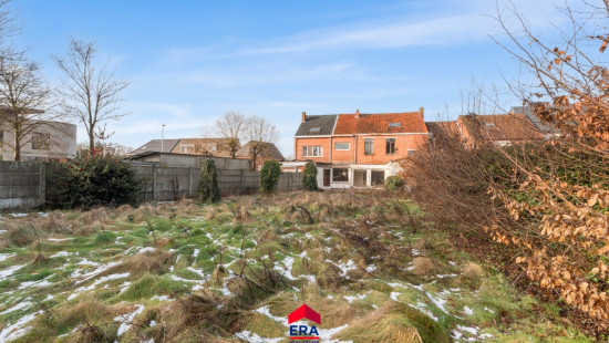 Schoolstraat - 31 - - 2491