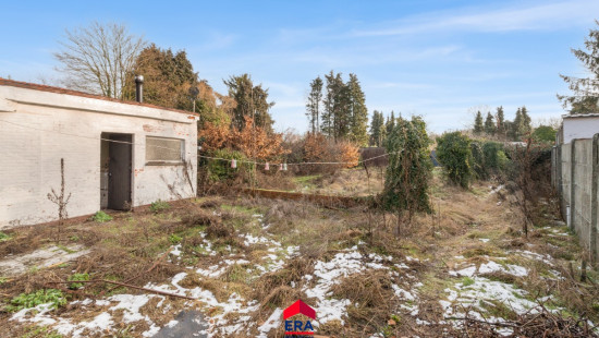 Schoolstraat - 31 - - 2491