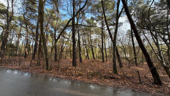 Sperwerlaan - 28 - lot 2 - 2280