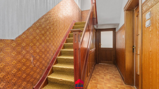 Schoolstraat - 31 - - 2491