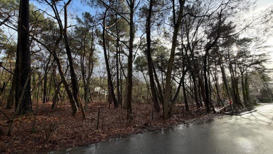 Sperwerlaan - 28 - lot 2 - 2280