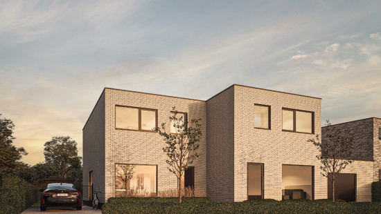 Beveren Dries - 90 - - Lot 2 - 8792