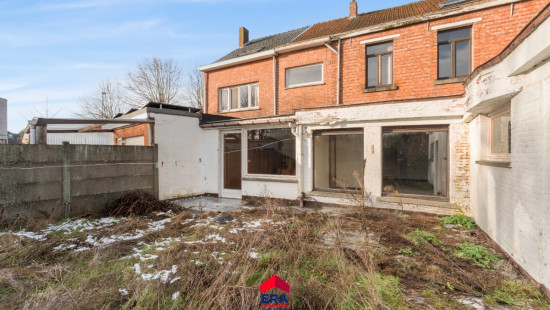 Schoolstraat - 31 - - 2491