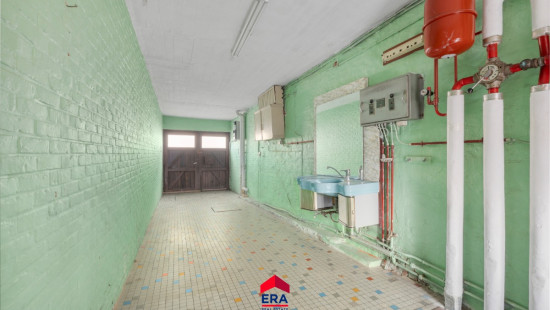 Schoolstraat - 31 - - 2491