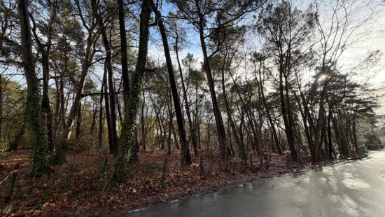 Sperwerlaan - 28 - lot 2 - 2280