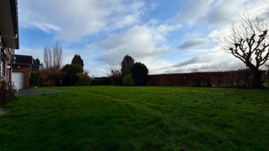 Rue du Fays - 15 - - 4450