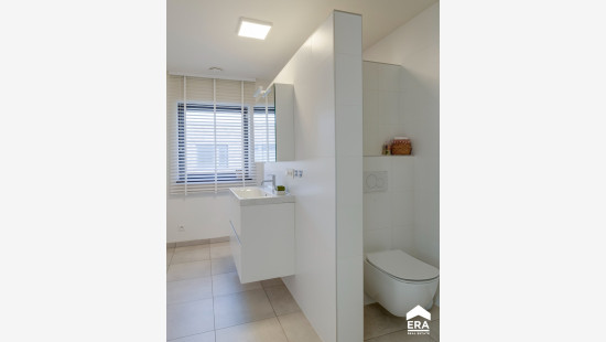 Wortelveldstraat - 2 - - 3900