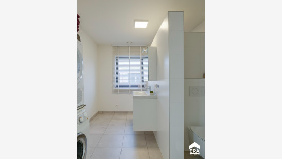 Wortelveldstraat - 2 - - 3900