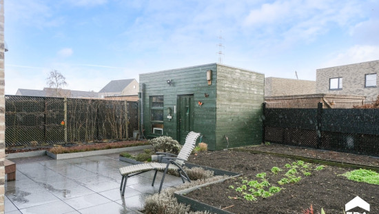 Wortelveldstraat - 2 - - 3900