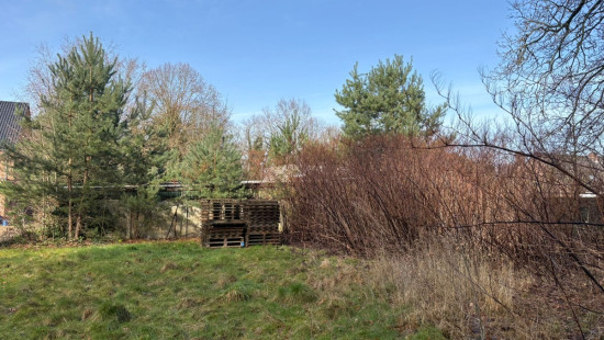 Molenwijk - 51 - - 3945