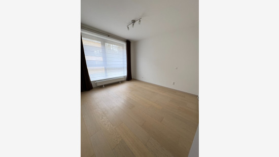 Zagerijstraat - 12 - 101 - 3090