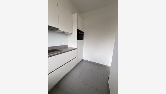 Zagerijstraat - 12 - 101 - 3090