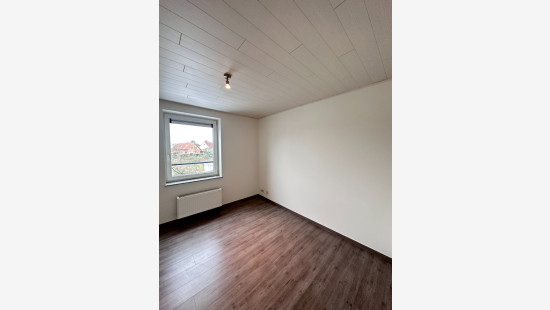 Donk - 25 - 2 - 2400