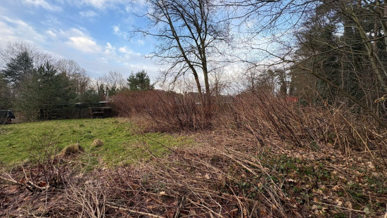 Molenwijk - 51 - - 3945