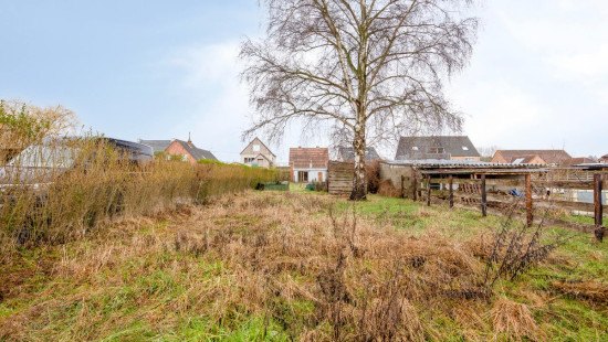 Reppelsebaan - 37 - - 3294