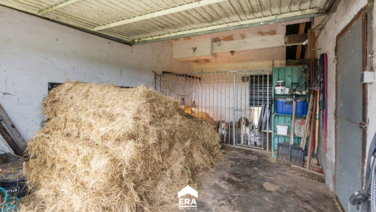 Onze-Lieve-Vrouwlaan - 6 - - 3990