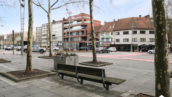 Europalaan - 109 - 6 - 3600