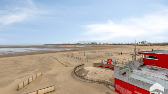 Brusselstraat - 50 - 0501 - 8380