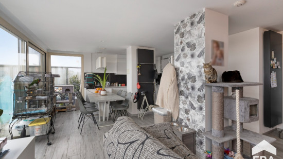 Brusselstraat - 50 - 0501 - 8380