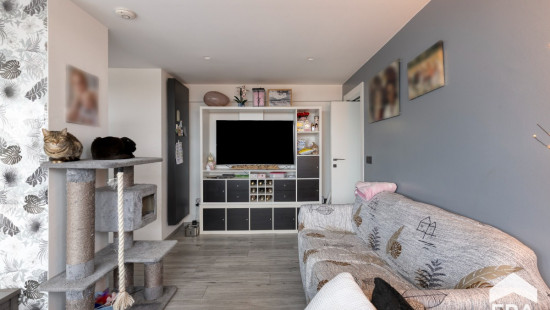 Brusselstraat - 50 - 0501 - 8380