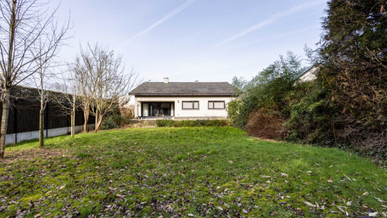 berkenlaan - 97 - - 8530