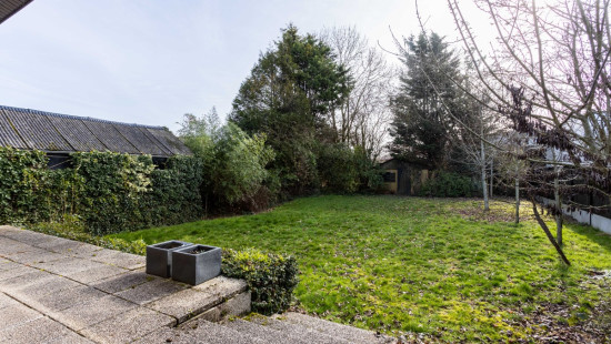 berkenlaan - 97 - - 8530