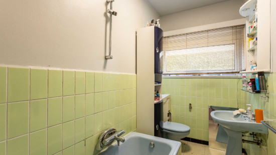 berkenlaan - 97 - - 8530