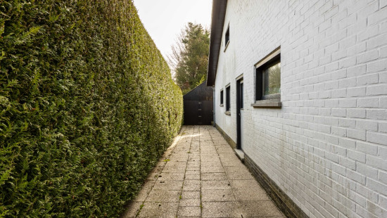 berkenlaan - 97 - - 8530