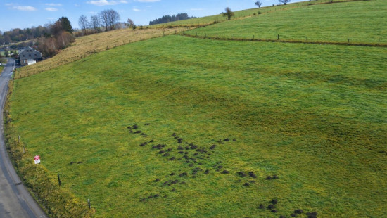 Rue des Jonquilles - 0 - - 6680