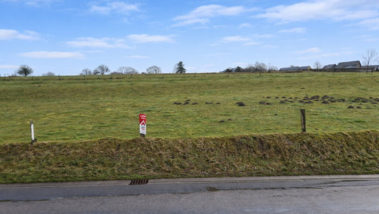 Rue des Jonquilles - 0 - - 6680