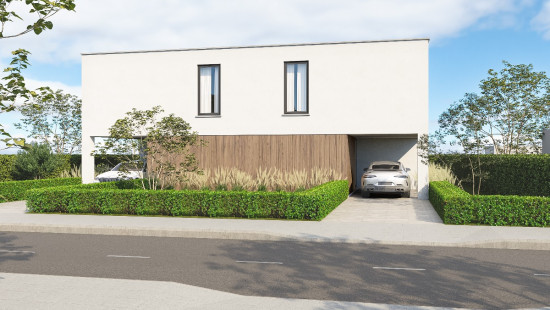 Wolfsstraat - 1A - - 3660