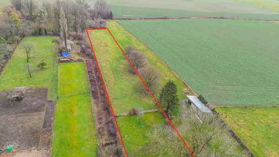 Bois d'ohey - 317 - - 5350