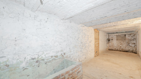 Bois d'ohey - 317 - - 5350