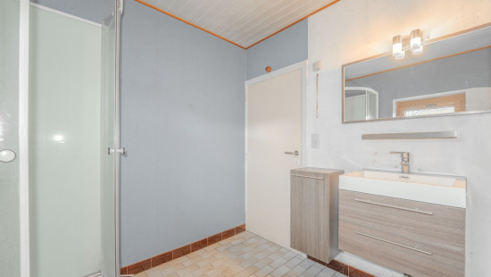 Bois d'ohey - 317 - - 5350