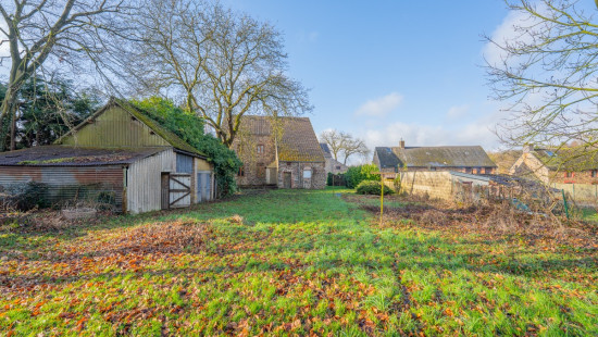 Bois d'ohey - 317 - - 5350