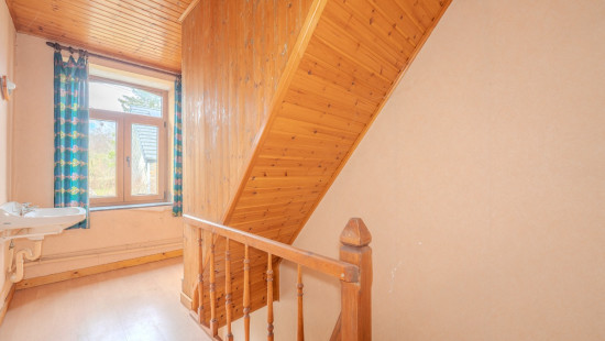 Bois d'ohey - 317 - - 5350