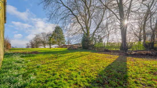 Bois d'ohey - 317 - - 5350