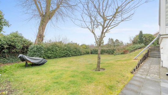 Prins Albertlaan - 78 - - 8660