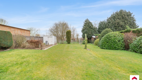 Winkelbaan - 12 - - 1730