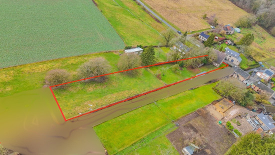 Bois d'ohey - 317 - - 5350