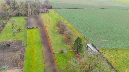 Bois d'ohey - 317 - - 5350