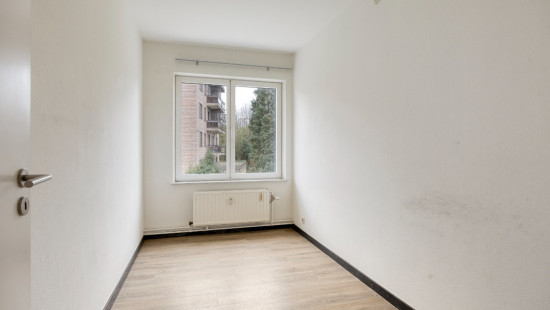 Ringlaan - 30 - A - 3560