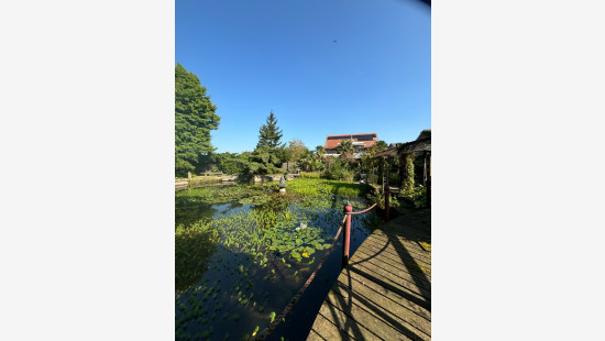 Baron-Holvoetlaan - 32 - - 8890