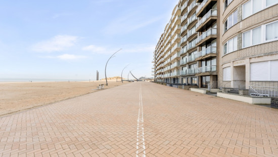 Nieuwpoortlaan - 133 - 0401 - 8660