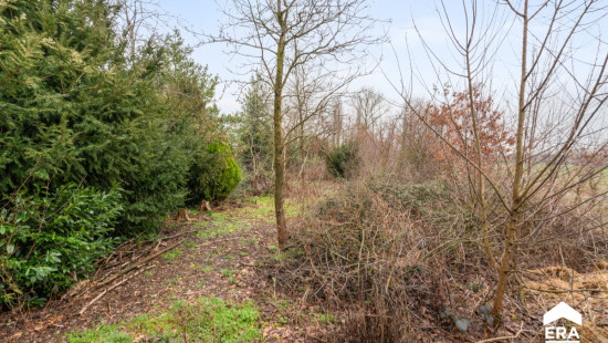 Klottenbergstraat - 6 - - 3440