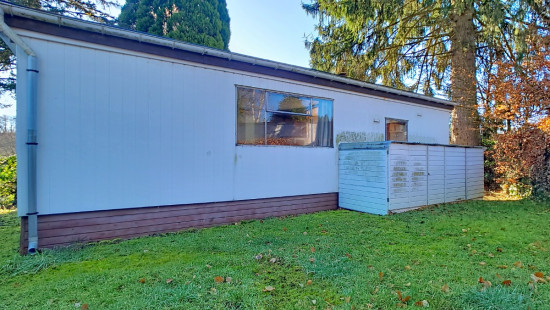 Tier de Rinze - 37 - 141 - 6940